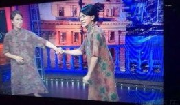 金星秀在线观看王祖蓝,王祖蓝搞笑演绎，笑料连连